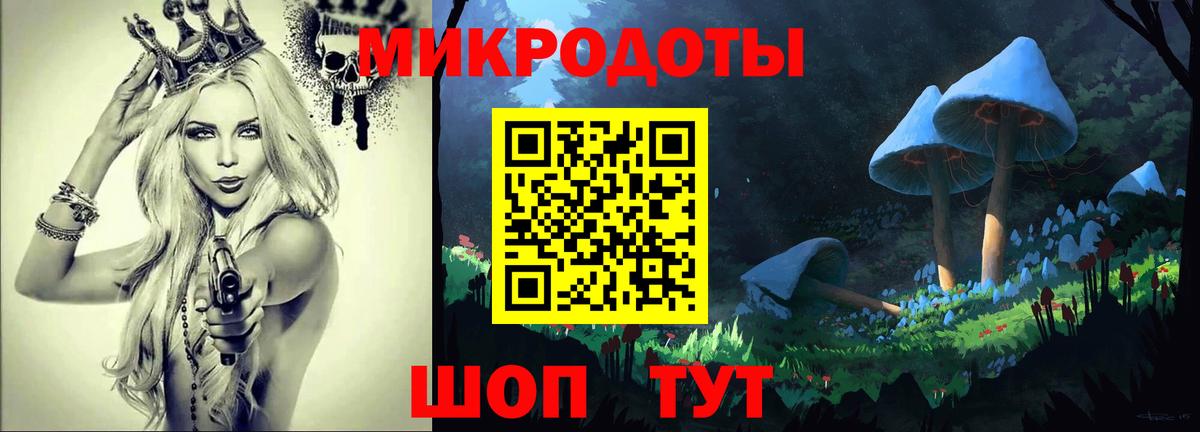 Галлюциногенные грибы мухоморы  купить наркоту  Сосновый Бор  Вход с VPN 